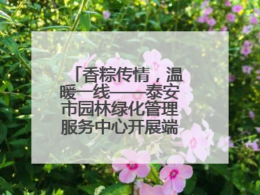 香粽传情，温暖一线——泰安市园林绿化管理服务中心开展端午节慰问活动