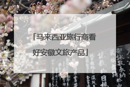 马来西亚旅行商看好安徽文旅产品