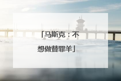 马斯克：不想做替罪羊
