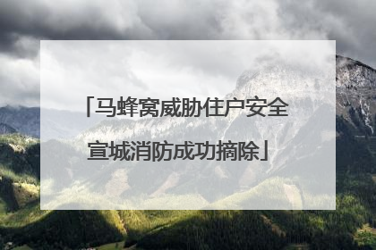 马蜂窝威胁住户安全 宣城消防成功摘除
