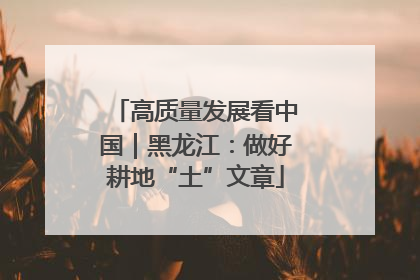 高质量发展看中国｜黑龙江：做好耕地“土”文章