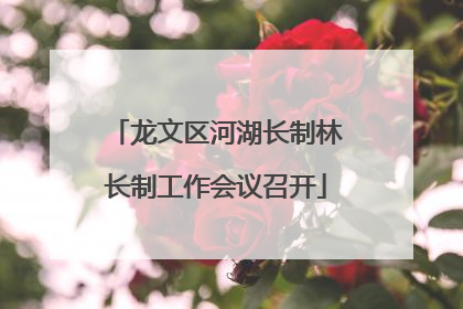 龙文区河湖长制林长制工作会议召开