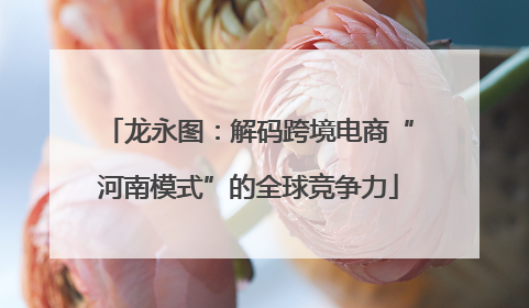 龙永图：解码跨境电商“河南模式”的全球竞争力