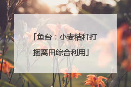 鱼台：小麦秸秆打捆离田综合利用