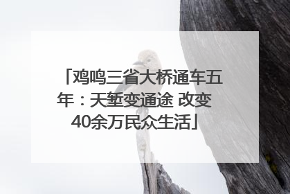 鸡鸣三省大桥通车五年：天堑变通途 改变40余万民众生活