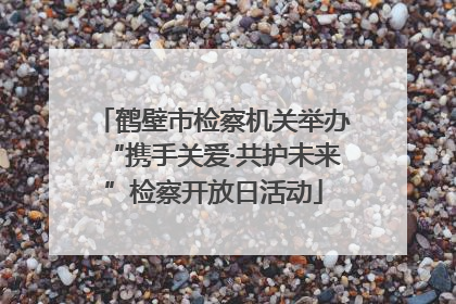 鹤壁市检察机关举办“携手关爱·共护未来”检察开放日活动