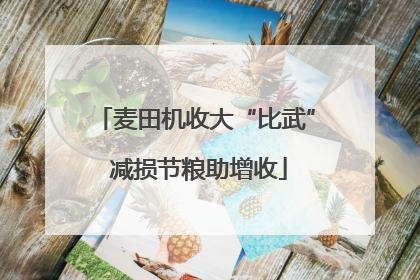 麦田机收大“比武” 减损节粮助增收