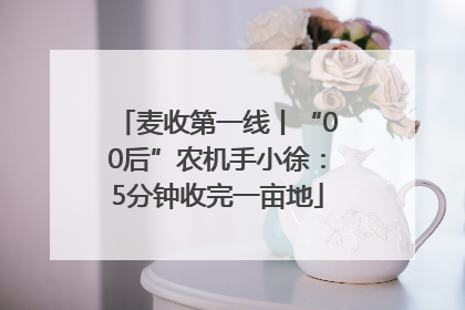 麦收第一线丨“00后”农机手小徐：5分钟收完一亩地