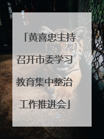 黄喜忠主持召开市委学习教育集中整治工作推进会