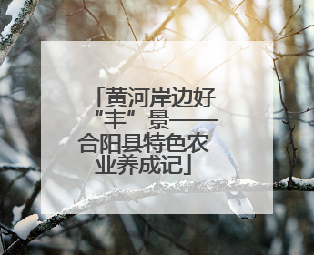 黄河岸边好“丰”景——合阳县特色农业养成记