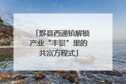 黟县西递镇解锁产业“丰景”里的共富方程式