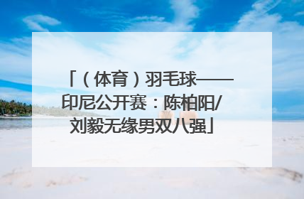 （体育）羽毛球——印尼公开赛：陈柏阳/刘毅无缘男双八强