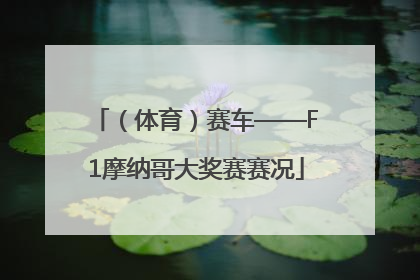 （体育）赛车——F1摩纳哥大奖赛赛况