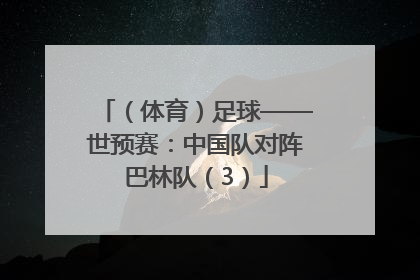 （体育）足球——世预赛：中国队对阵巴林队（3）