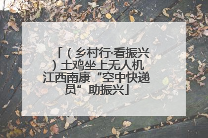 （乡村行·看振兴）土鸡坐上无人机 江西南康“空中快递员”助振兴
