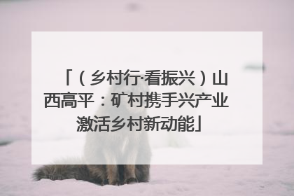 （乡村行·看振兴）山西高平：矿村携手兴产业 激活乡村新动能