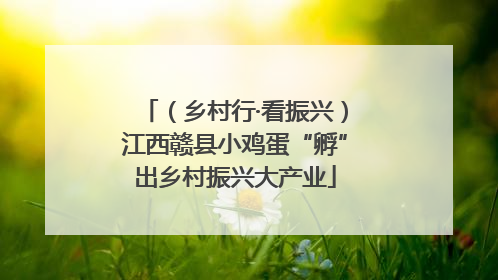 （乡村行·看振兴）江西赣县小鸡蛋“孵”出乡村振兴大产业