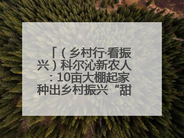（乡村行·看振兴）科尔沁新农人：10亩大棚起家种出乡村振兴“甜蜜果”