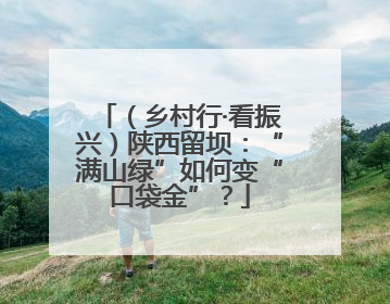 （乡村行·看振兴）陕西留坝：“满山绿”如何变“口袋金”？