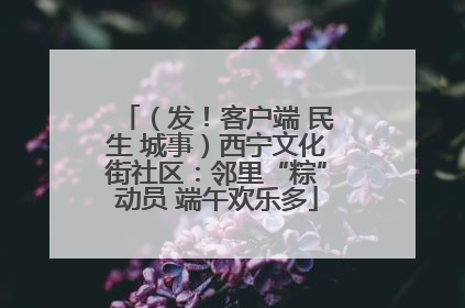 （发！客户端 民生 城事）西宁文化街社区：邻里“粽”动员 端午欢乐多