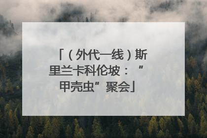 （外代一线）斯里兰卡科伦坡：“甲壳虫”聚会