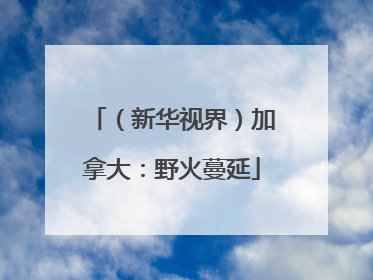 （新华视界）加拿大：野火蔓延