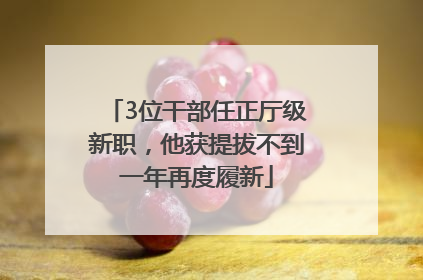 3位干部任正厅级新职，他获提拔不到一年再度履新
