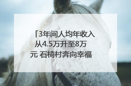 3年间人均年收入从4.5万升至8万元 石椅村奔向幸福好样子｜牵挂的村