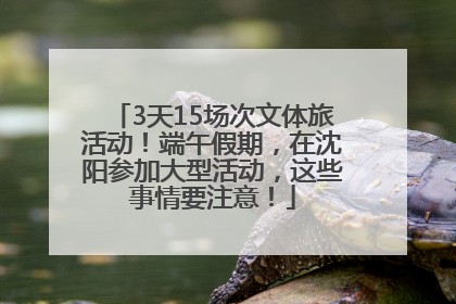 3天15场次文体旅活动！端午假期，在沈阳参加大型活动，这些事情要注意！