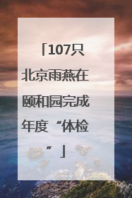 107只北京雨燕在颐和园完成年度“体检”