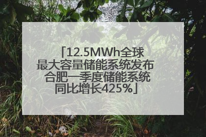 12.5MWh全球最大容量储能系统发布 合肥一季度储能系统同比增长425%