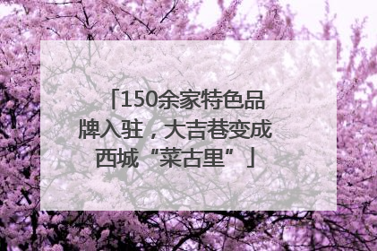 150余家特色品牌入驻，大吉巷变成西城“菜古里”
