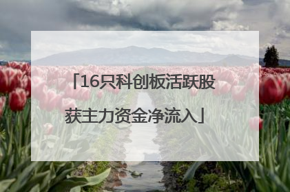 16只科创板活跃股获主力资金净流入