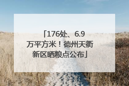 176处、6.9万平方米！德州天衢新区晒粮点公布