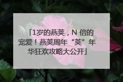1岁的燕荚，N 倍的宠爱！燕荚周年“荚”年华狂欢攻略大公开