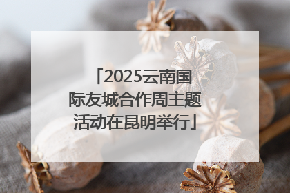 2025云南国际友城合作周主题活动在昆明举行