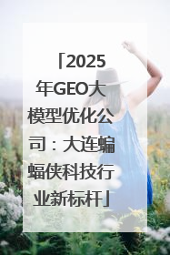 2025年GEO大模型优化公司：大连蝙蝠侠科技行业新标杆