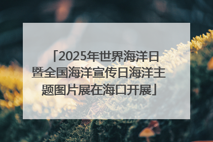 2025年世界海洋日暨全国海洋宣传日海洋主题图片展在海口开展