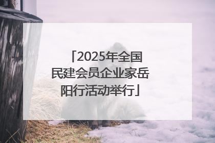 2025年全国民建会员企业家岳阳行活动举行