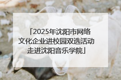2025年沈阳市网络文化企业进校园双选活动走进沈阳音乐学院