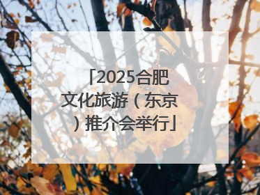2025合肥文化旅游（东京）推介会举行
