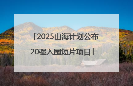 2025山海计划公布20强入围短片项目