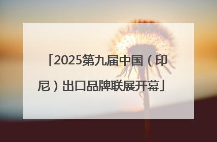 2025第九届中国（印尼）出口品牌联展开幕