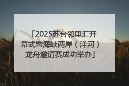 2025苏台邻里汇开幕式暨海峡两岸（洋河）龙舟邀请赛成功举办