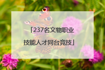 237名文物职业技能人才同台竞技