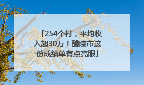 254个村，平均收入超30万！醴陵市这份成绩单有点亮眼