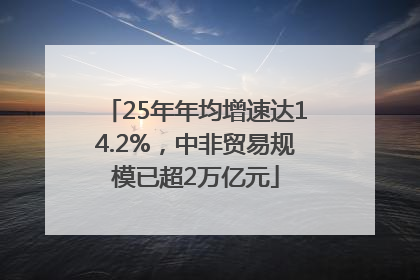 25年年均增速达14.2%，中非贸易规模已超2万亿元