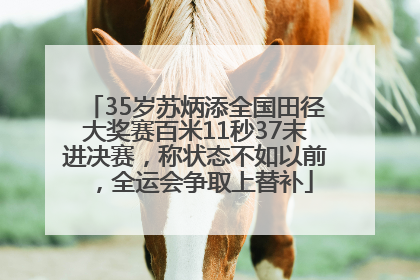 35岁苏炳添全国田径大奖赛百米11秒37未进决赛，称状态不如以前，全运会争取上替补