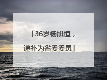 36岁杨旭恒，递补为省委委员