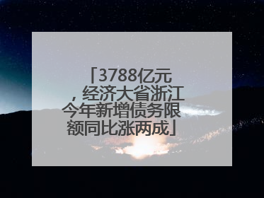 3788亿元，经济大省浙江今年新增债务限额同比涨两成